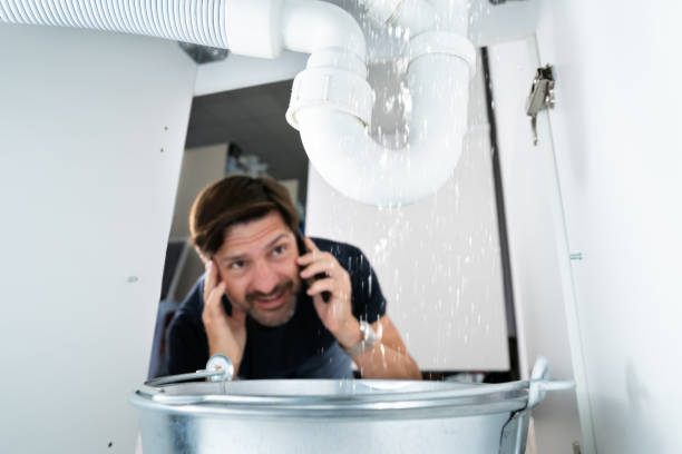 Best Plumbing Inspection Services  in Little Falls, MN