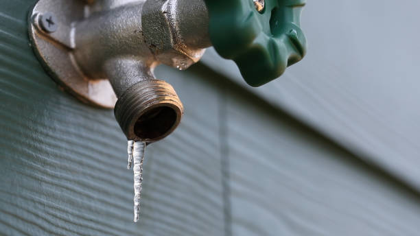 Best Gas Line Repair  in Little Falls, MN